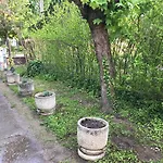 Pensjonat Palma Apartmanhaz Siófok