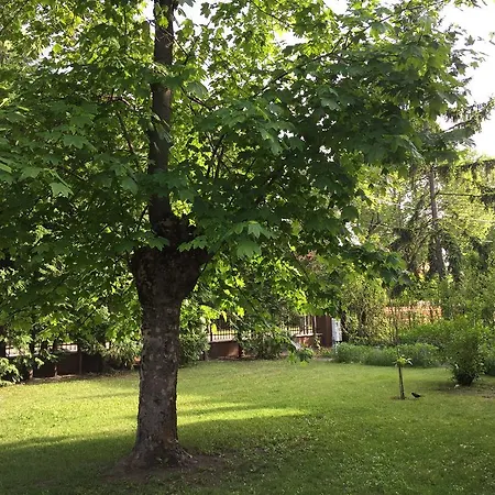 Pensjonat Palma Apartmanhaz Siófok