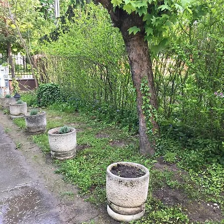 Pensionat Palma Apartmanhaz Siófok
