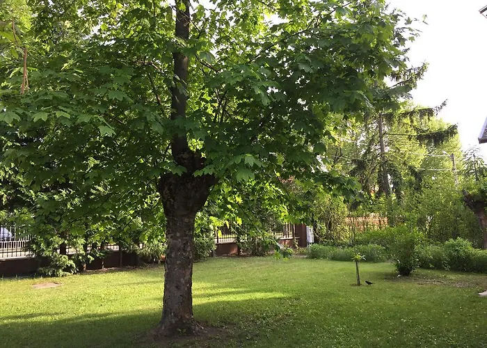 Gasthuis Palma Apartmanhaz Siófok